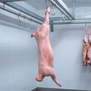 A-Grade Lamb Carcass — Whole