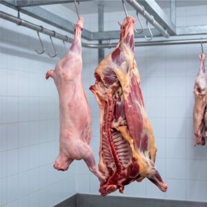Mutton Carcass — Whole